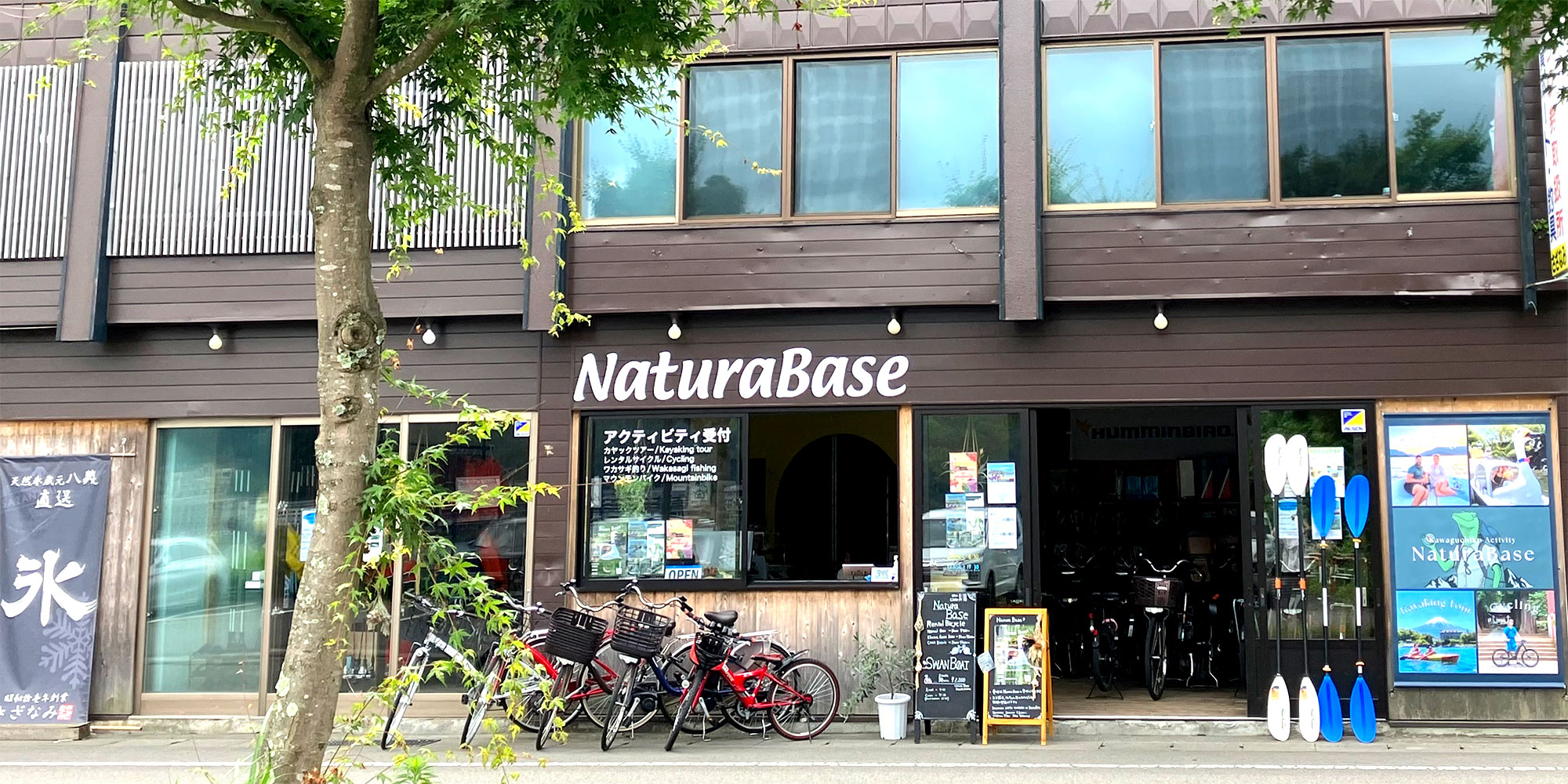 NaturaBase