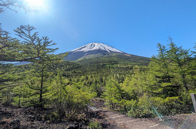 Trekking